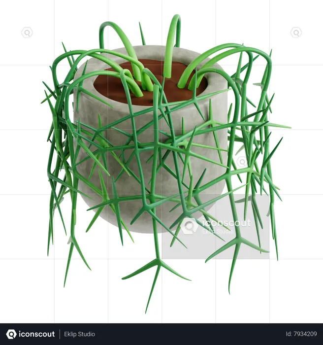 Ripsalis Cactus  3D Icon