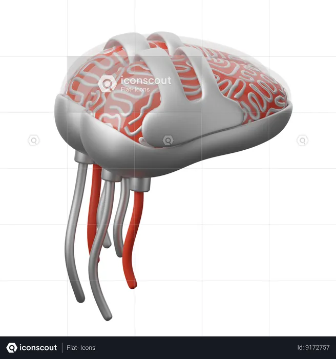 Robotic Brain  3D Icon