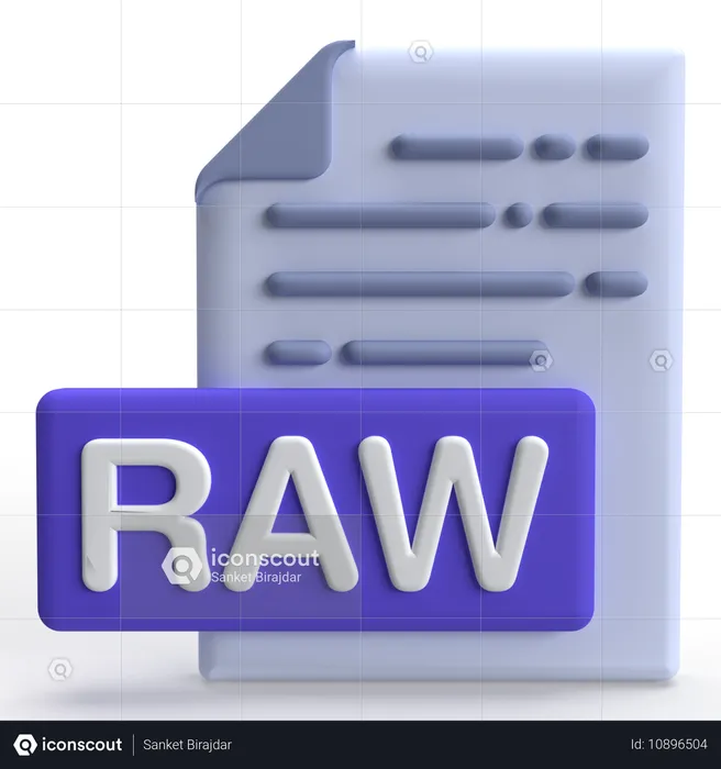 RAW-Datei  3D Icon