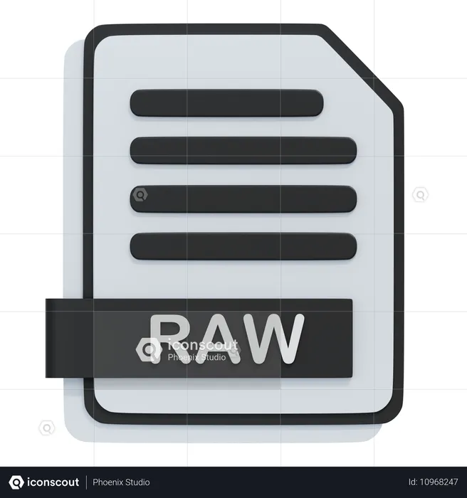 RAW-Datei  3D Icon