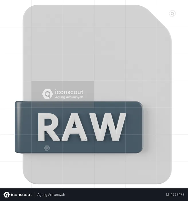 RAW-Datei  3D Icon