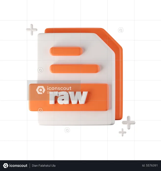 RAW-Datei  3D Icon