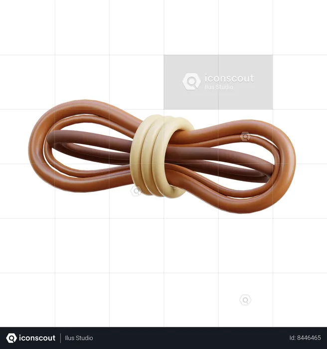 Rope  3D Icon