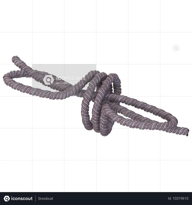 Rope  3D Icon