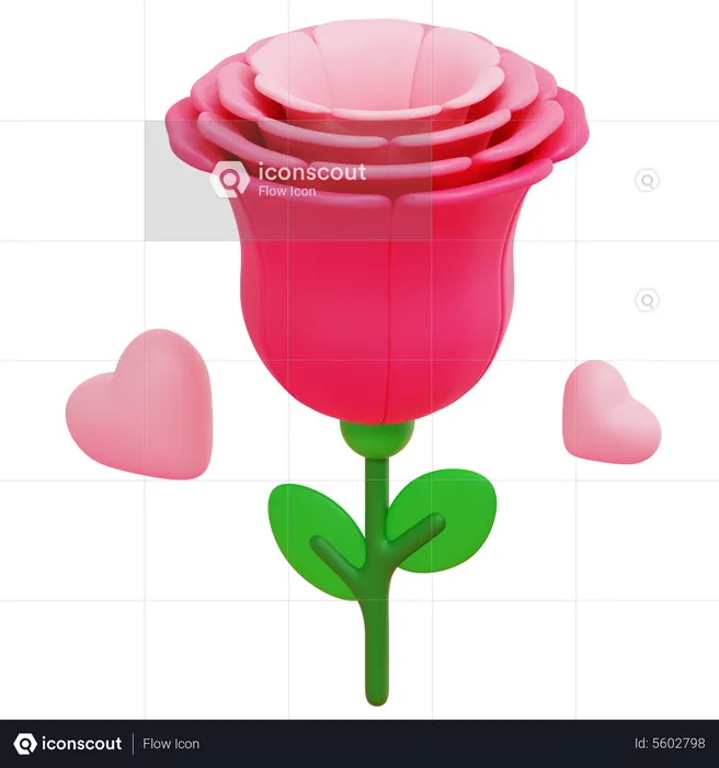 Rosa  3D Icon