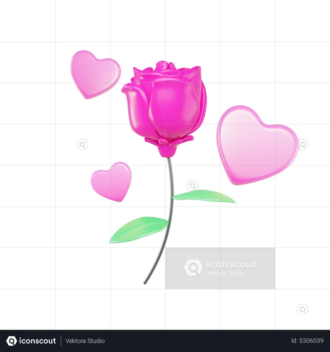 Pinke Rose  3D Icon