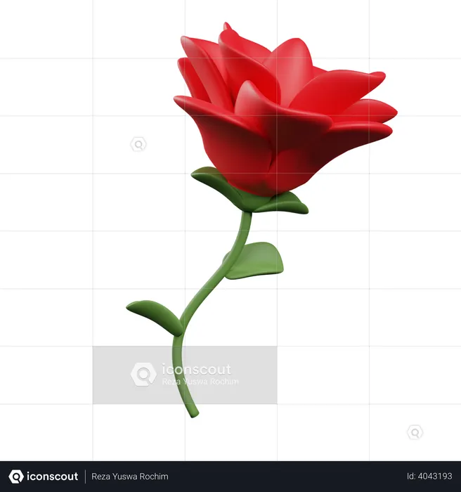 Rose  3D Illustration