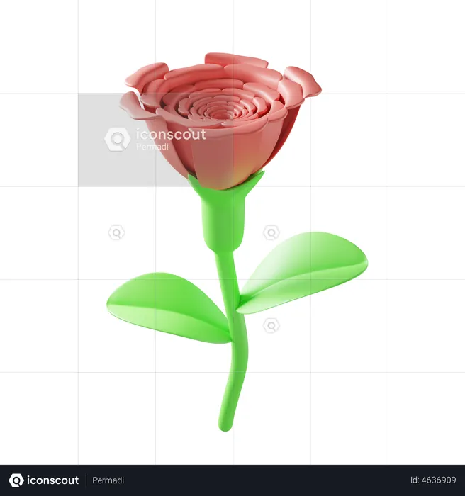 Rose  3D Illustration