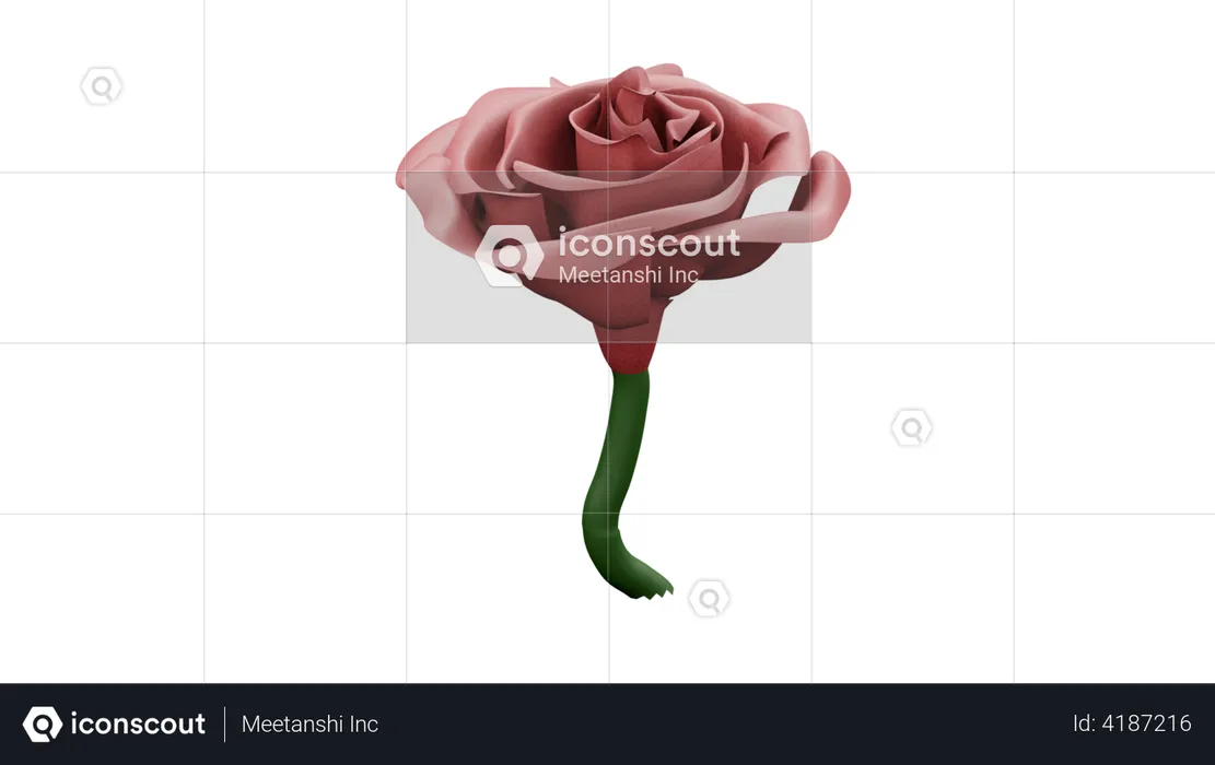 Rose  3D Illustration