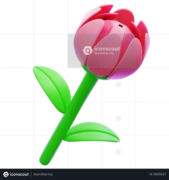 Rose Flower  3D Icon