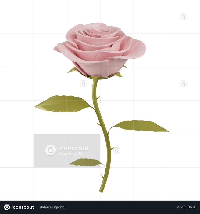 Rose flower  3D Illustration