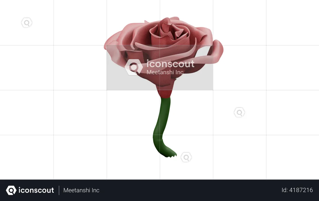 Rose Flower  3D Illustration