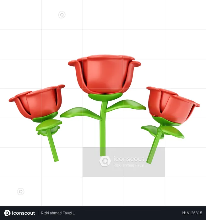 Rose Flowers  3D Icon