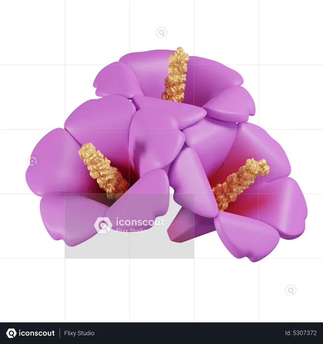 Rose of Sharon  3D Icon