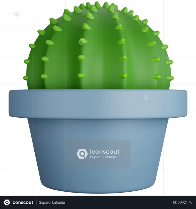 Round Cactus Plant  3D Icon