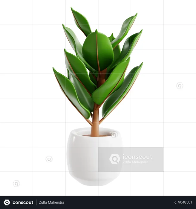 Rubber Plant  3D Icon