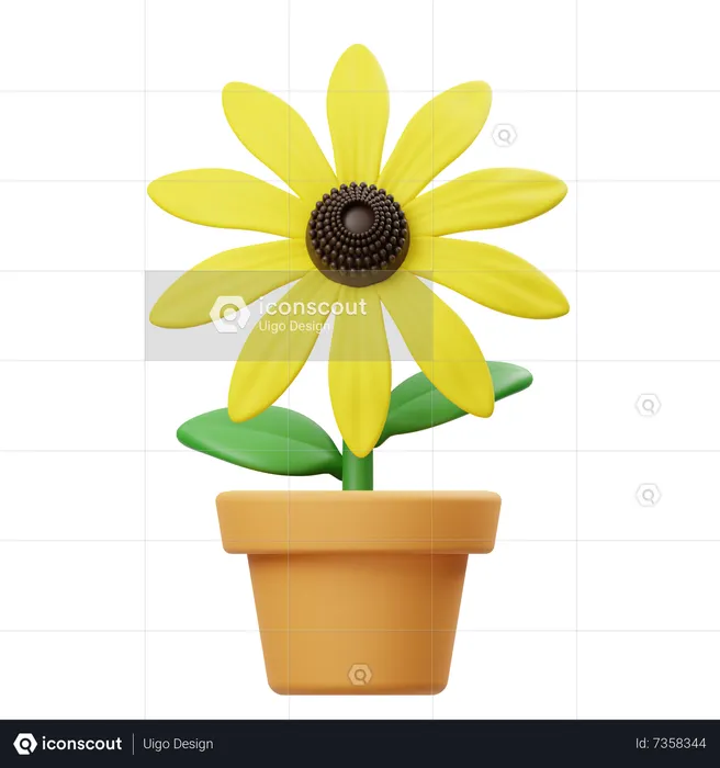 Pot de fleur de Rudbeckia  3D Icon