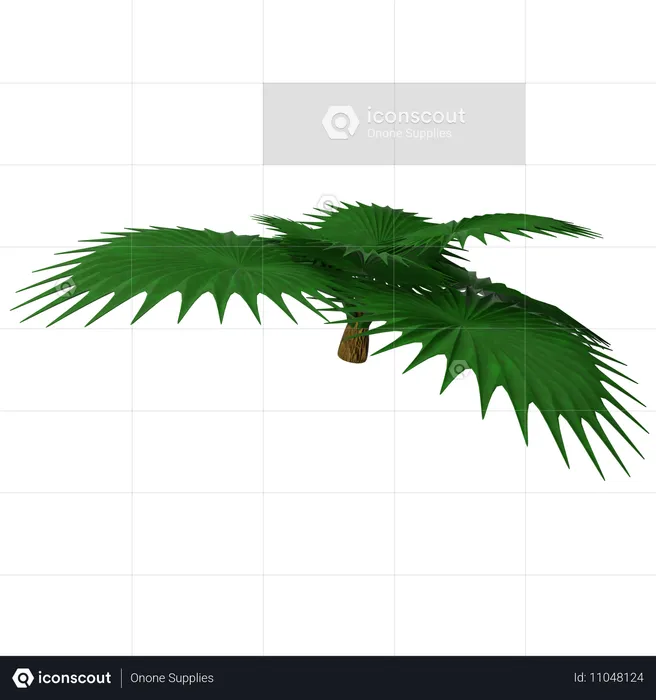 Sago Palm  3D Icon