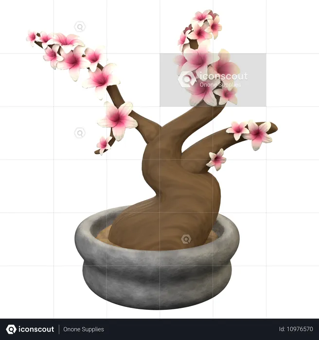 Árbol bonsái sakura  3D Icon