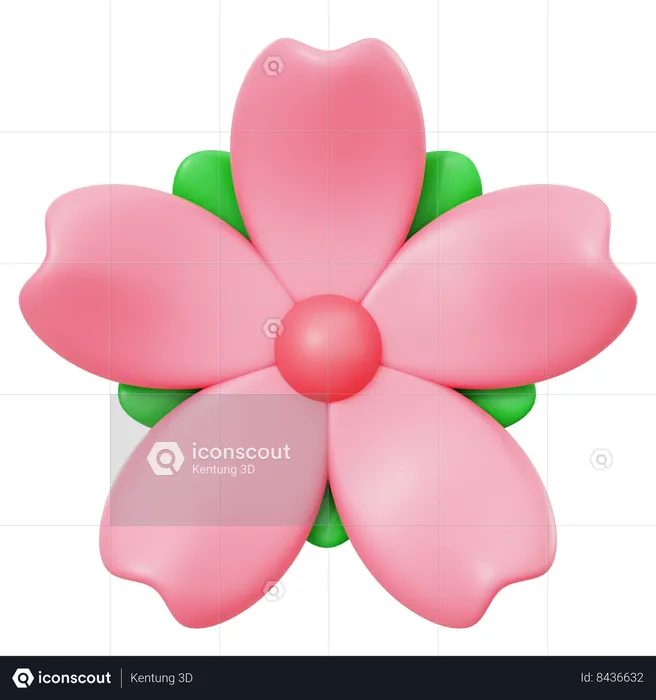 Fleur de sakura  3D Icon