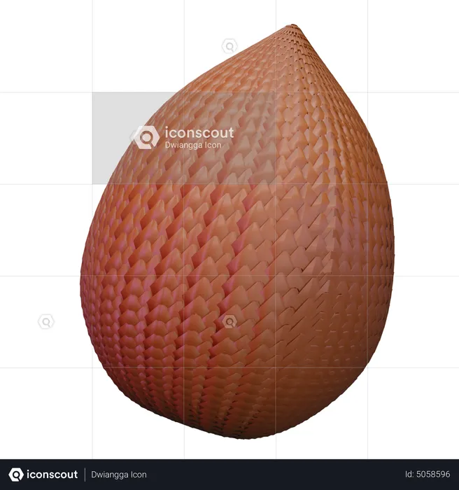 Salak  3D Icon