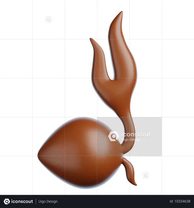 Noix de coco scout  3D Icon