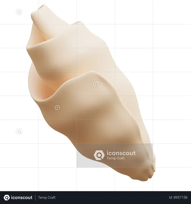 Sea Shell  3D Icon