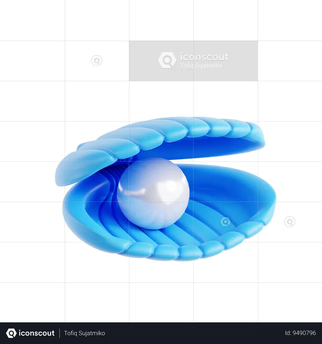 Sea shell  3D Icon