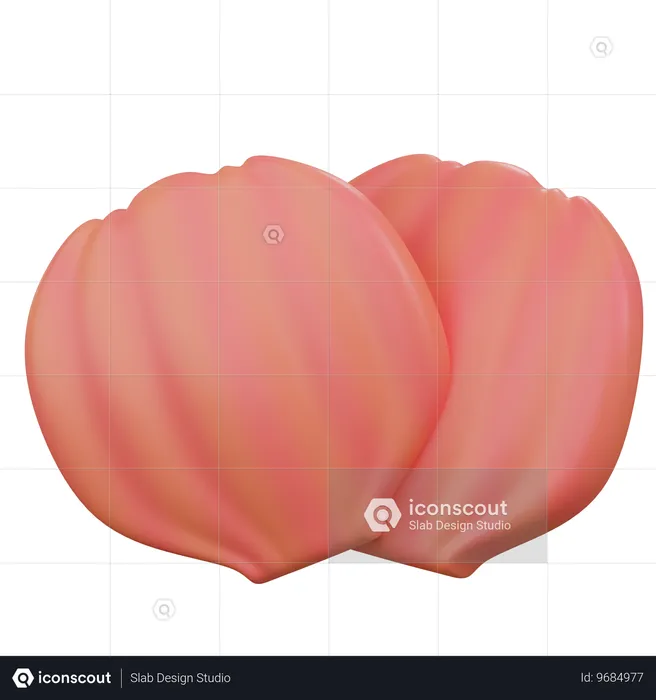 Sea Shell 2  3D Icon