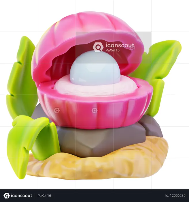 Sea Shell  3D Icon