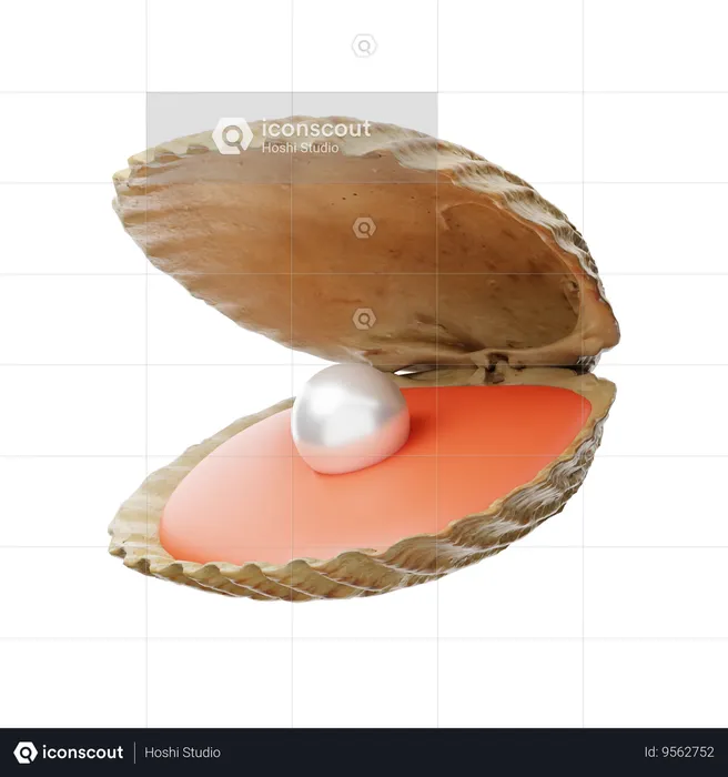 Seashell  3D Icon