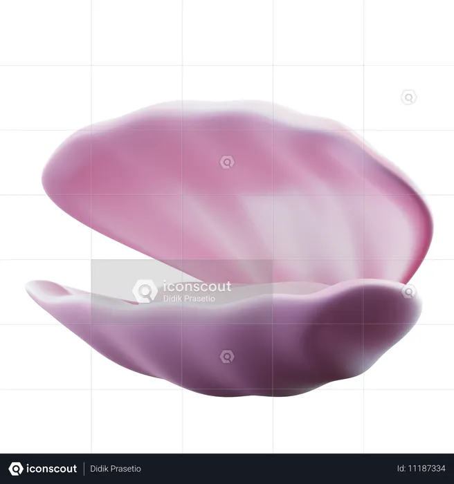 Seashell  3D Icon