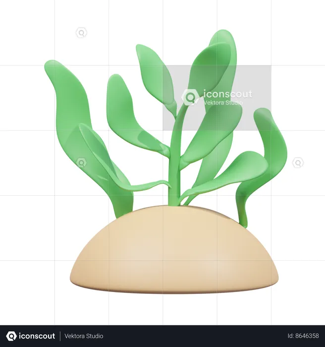 Seaweed  3D Icon