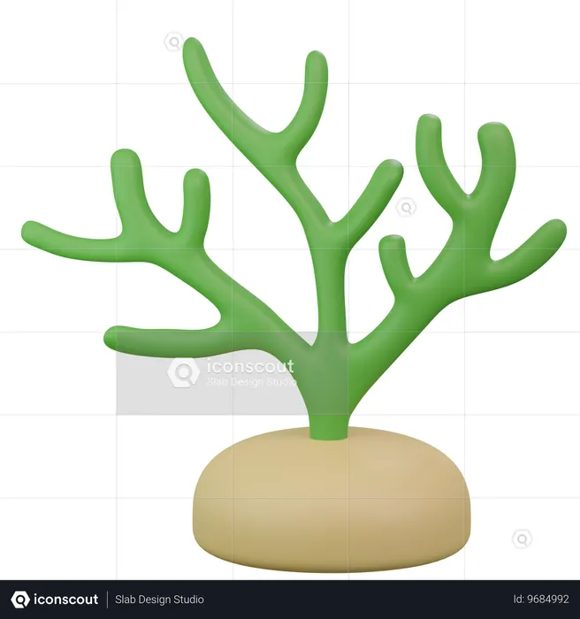 Seaweed  3D Icon