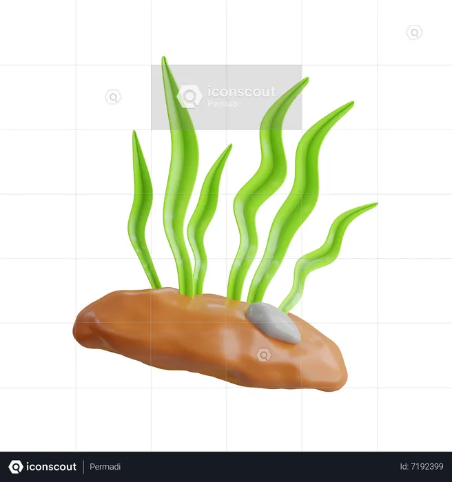 Seaweed  3D Icon