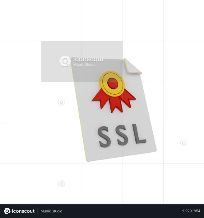 Secure Socket Layer  3D Icon