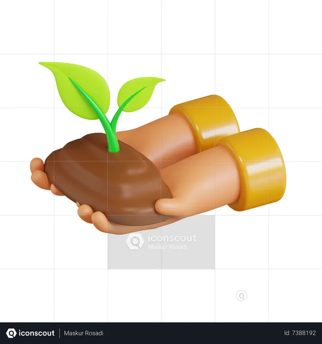 Seed Plant  3D Icon