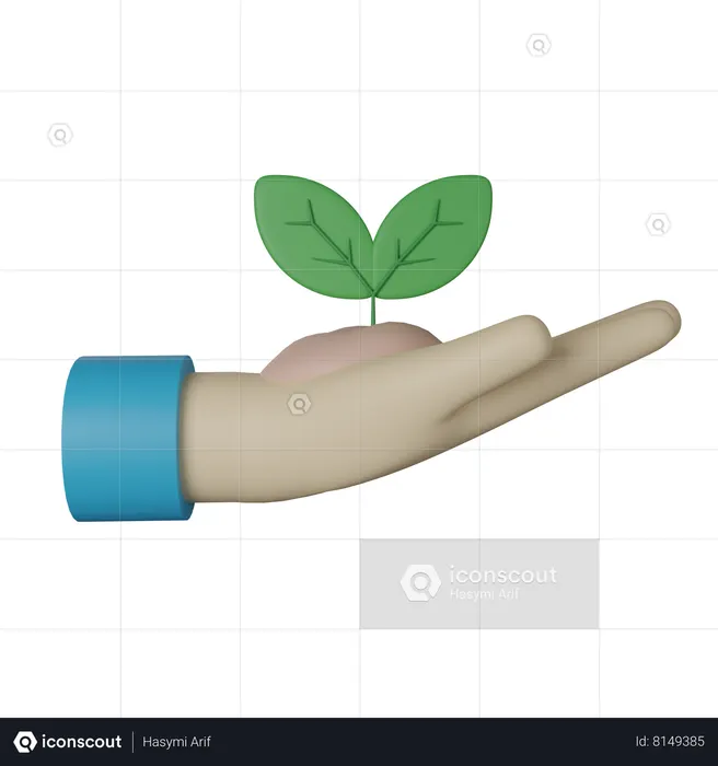 Seeding  3D Icon