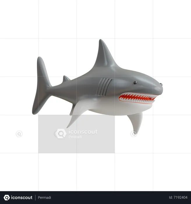 Shark  3D Icon