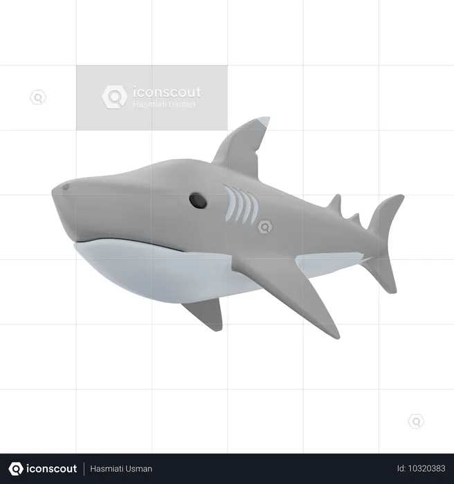 Shark Fish  3D Icon