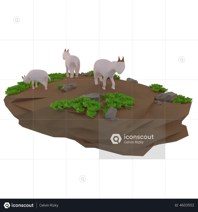 Sheep looking for food  3D Illustration