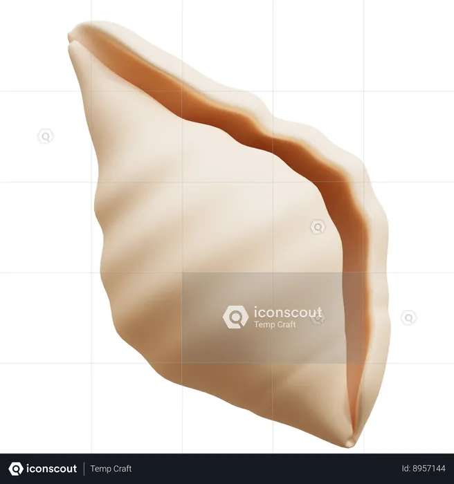 Shell  3D Icon