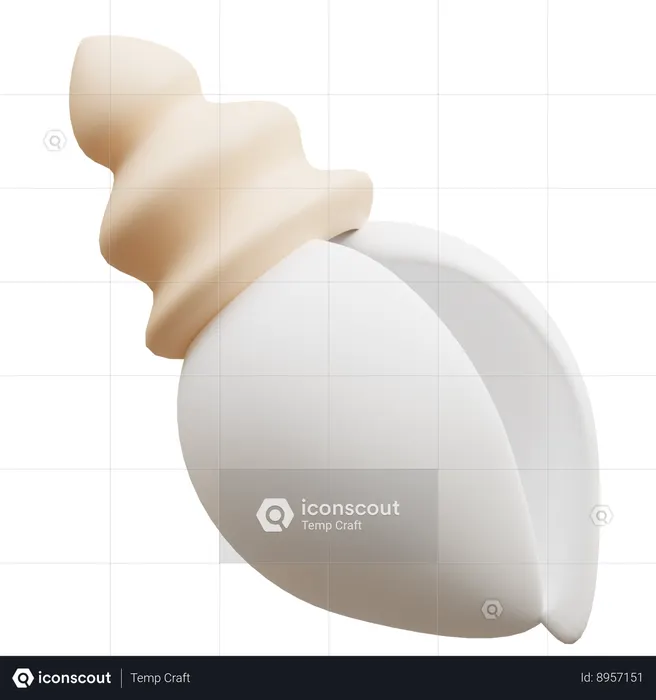 Shell  3D Icon
