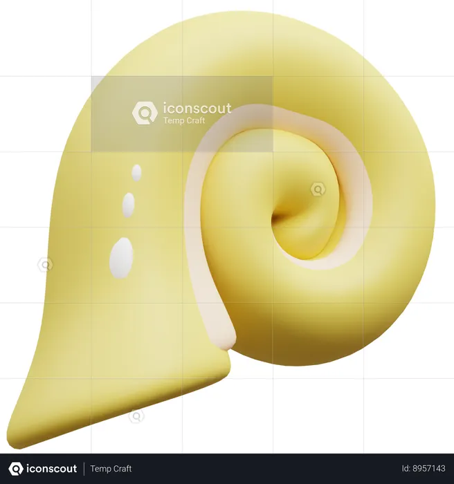 Shell  3D Icon
