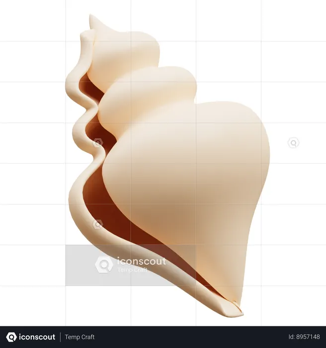 Shell  3D Icon