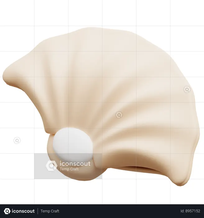 Shell  3D Icon