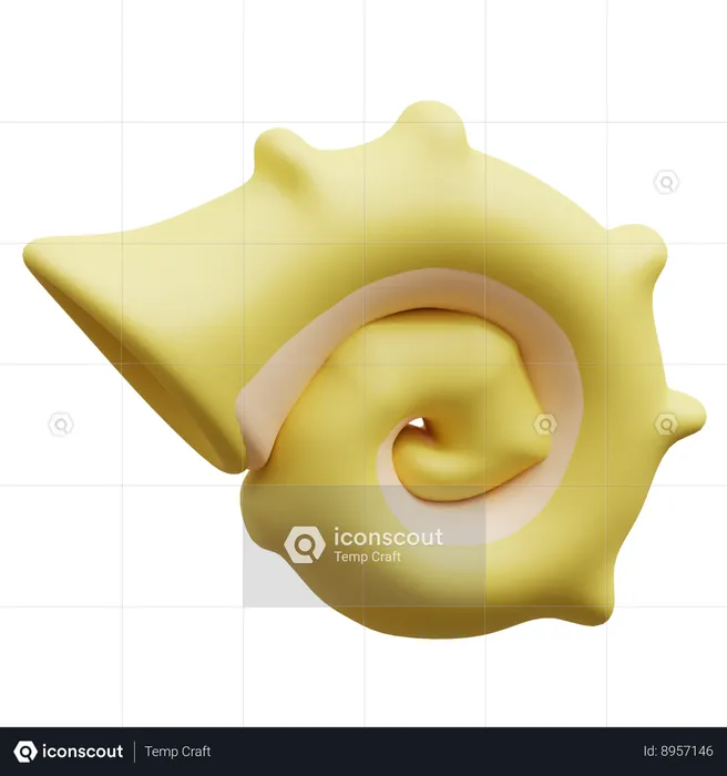 Shell  3D Icon