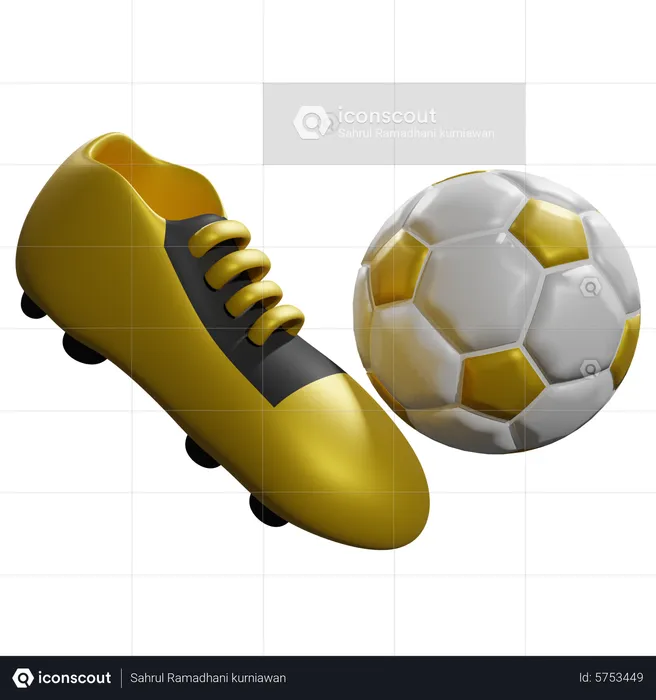 Shoes With The Ball  3D Icon