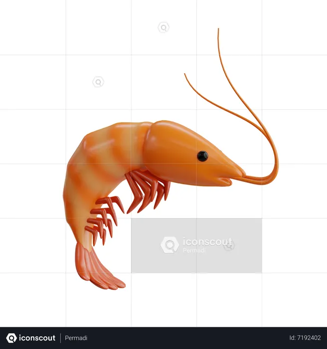 Shrimp  3D Icon