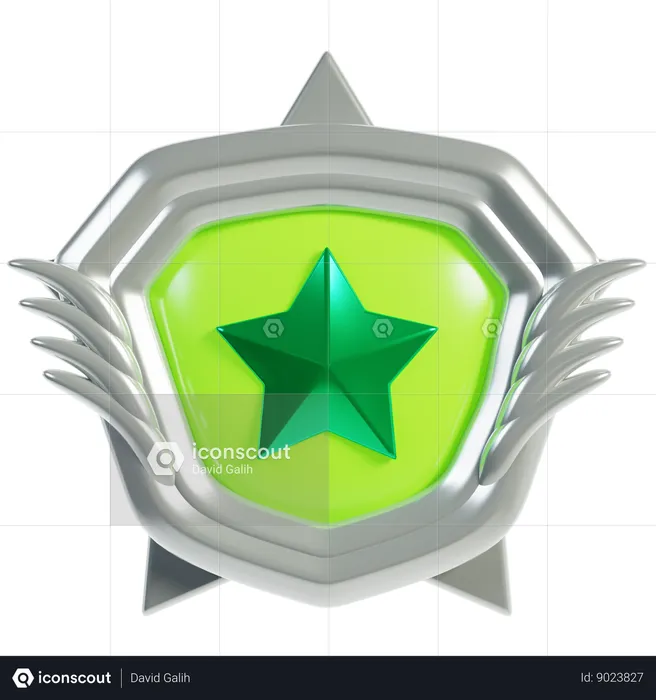 Silver Rank Badges  3D Icon